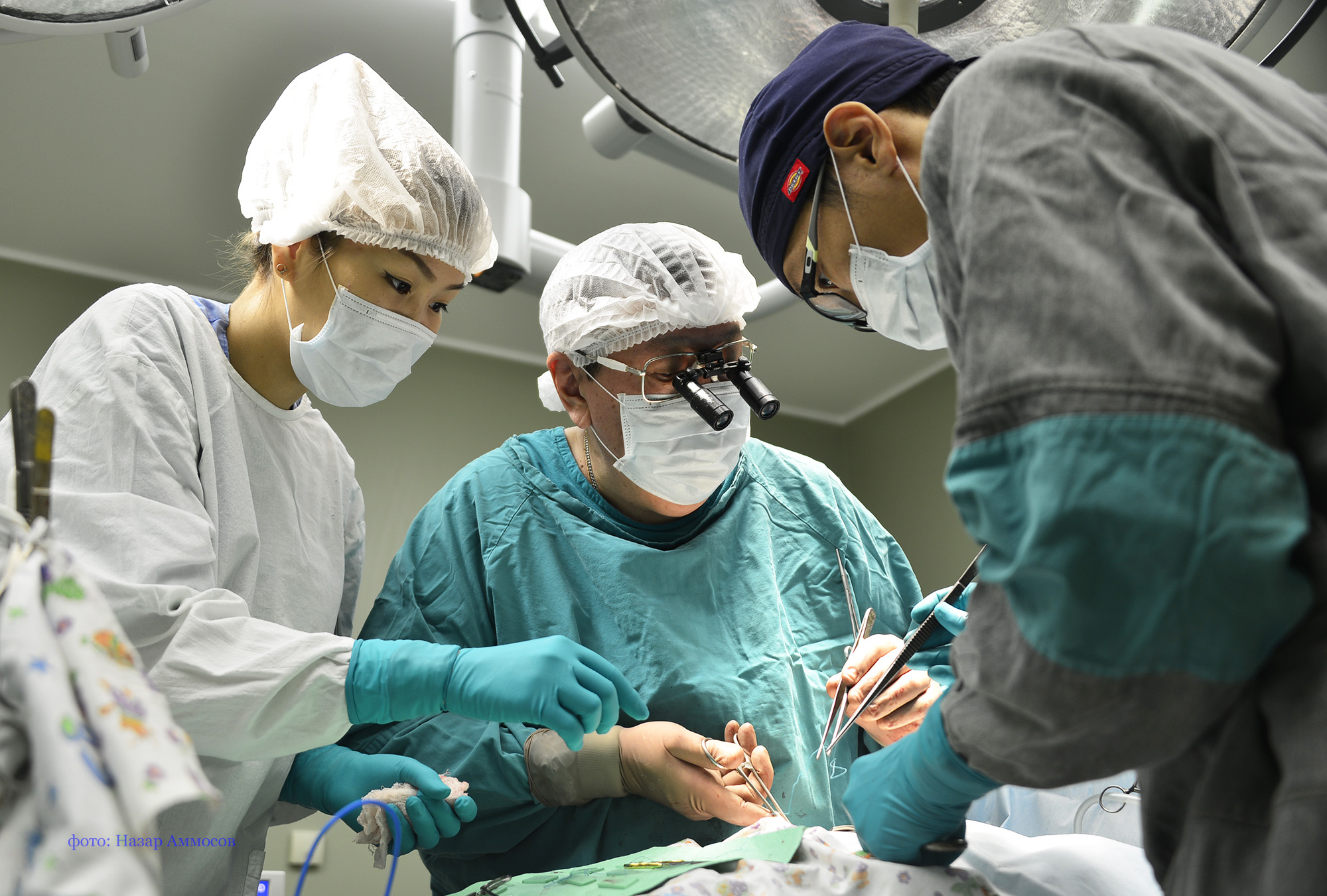Трансплантация органов от живого донора. Операция по трансплантации почки. Трансплантация это в медицине. Здравоохранение дальнего Востока.